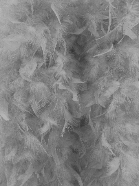 Feather gray 🪶